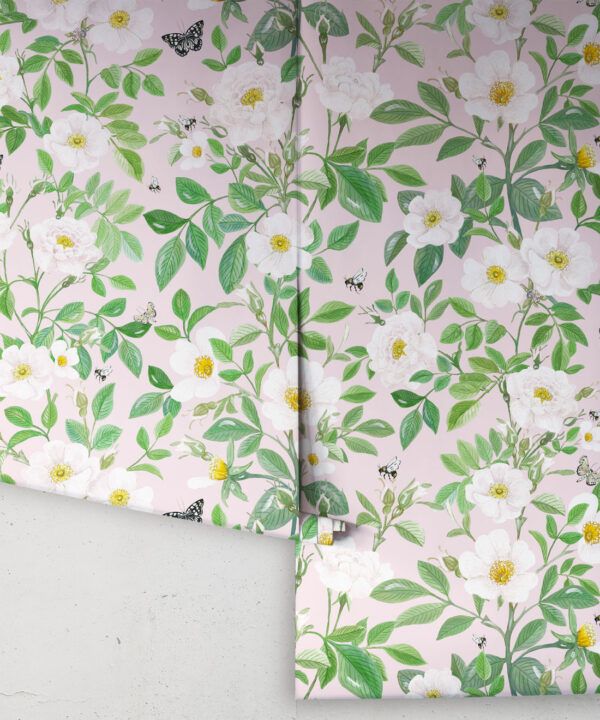 Rosa Wallpaper • Floral Wallpaper • Blush • Rolls