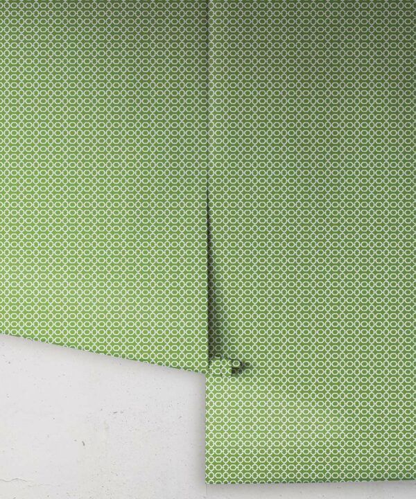 Ravello Wallpaper • Dianne Bergeron • Parsley • Rolls