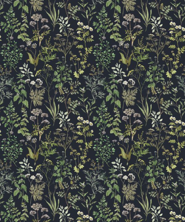 Herbarium Wallpaper • Hackney & Co. • Dark Navy • Swatch