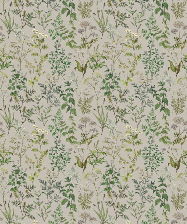 Herbarium Wallpaper • Hackney & Co. • Grey • Swatch