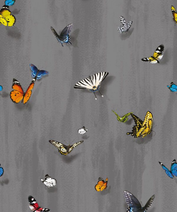 Papilio Wallpaper • Butterfly Wallpaper With Butterflies • Night • Swatch
