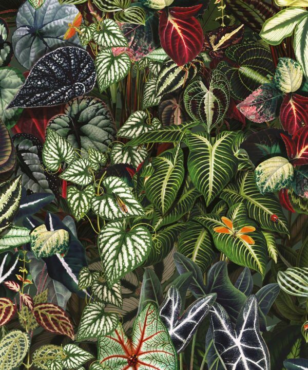 Verde Wallpaper • Green Leaf Wallpaper • Botanical Wallpaper • Jungle • Swatch