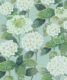 Hydrangea Garden Wallpaper • Aqua • Swatch