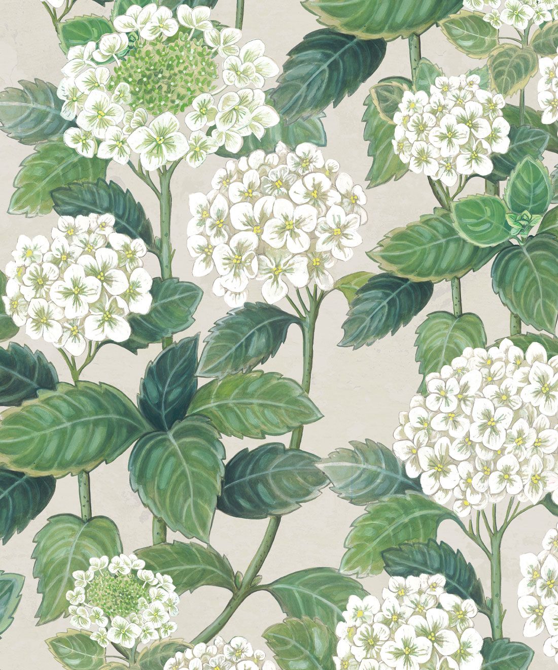 Hydrangea Garden Wallpaper (Two Roll Set)