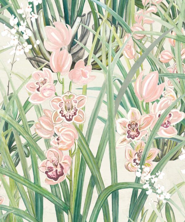 Garden Orchids Wallpaper • Beige • Swatch