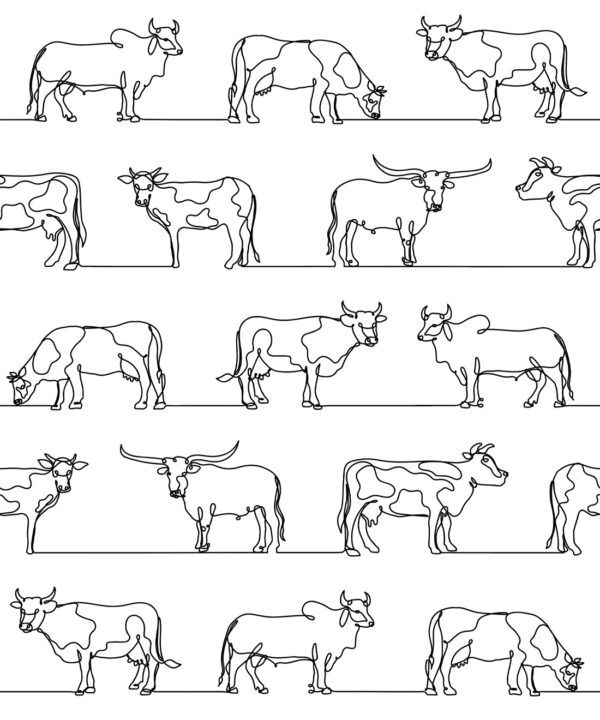 The Herd Wallpaper • Cow, Cattle, Farm Animals • White • Swatch