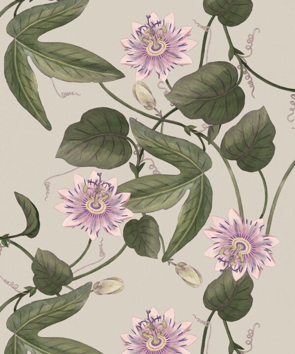 Passiflora Wallpaper • Stone • Swatch