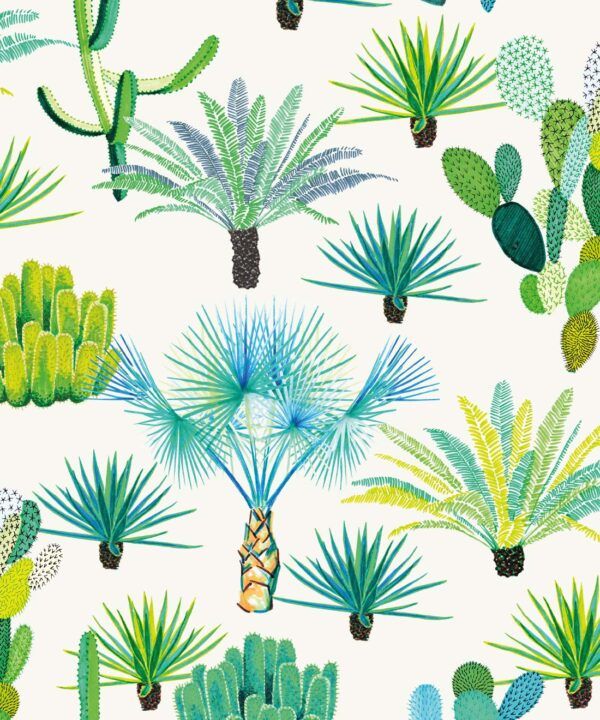 Cacti Wallpaper • Desert Cactus Wallpaper • Jacqueline Colley • Swatch