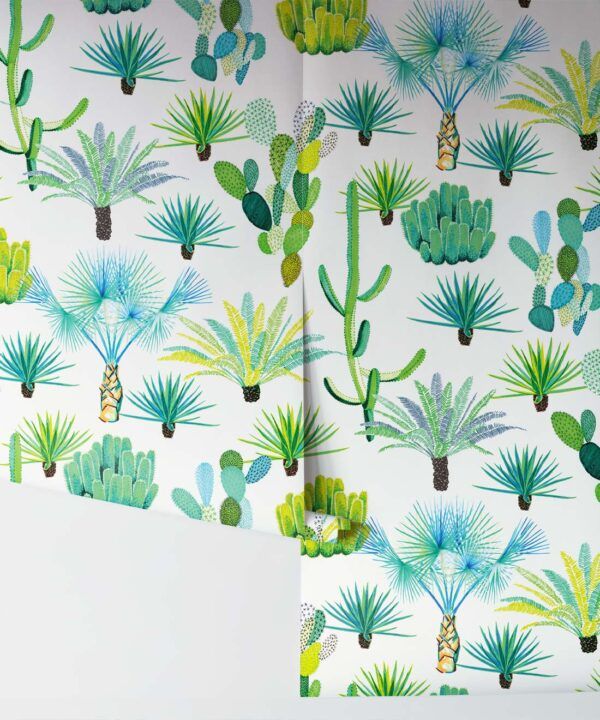Cacti Wallpaper • Desert Cactus Wallpaper • Jacqueline Colley • Rolls