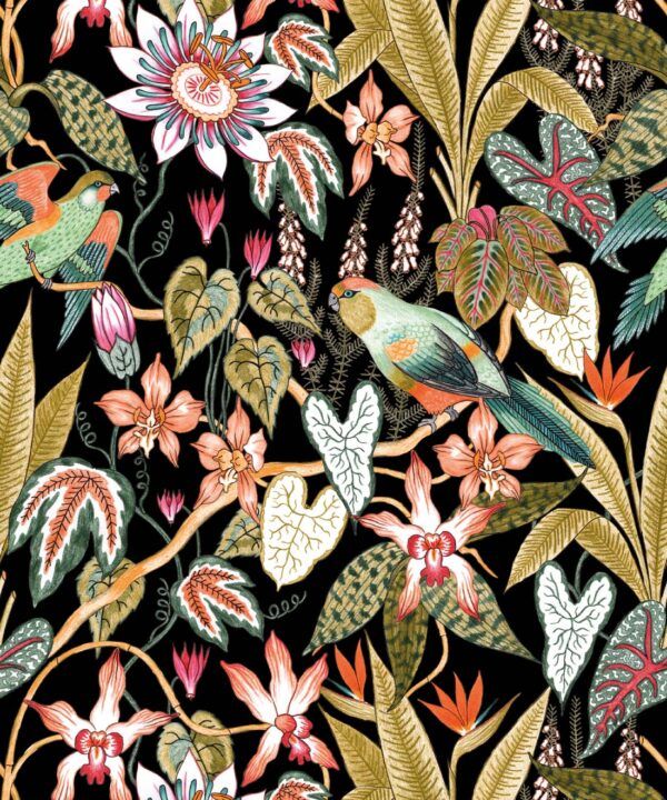 Parrot Jungle Wallpaper • Jacqueline Colley • Black • Swatch