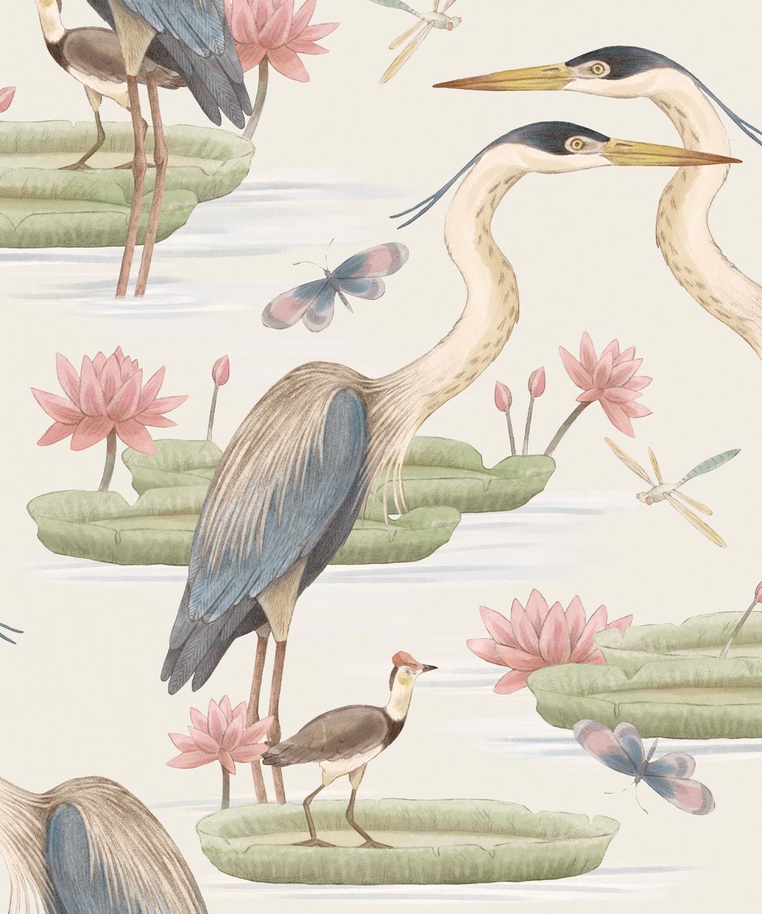 Heron, Jacana & Giant Lilypad Wallpaper