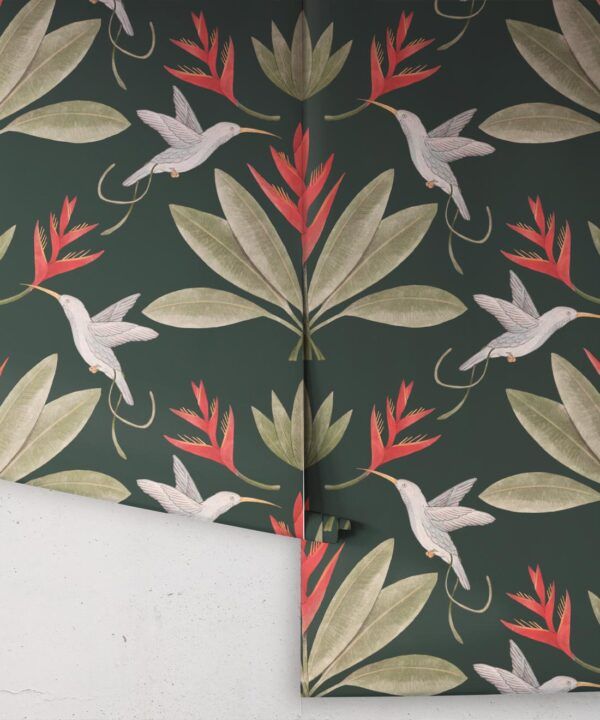 Hummingbirds & Heliconias Wallpaper • Allira Tee • Bird Wallpaper • Forest Green • Rolls