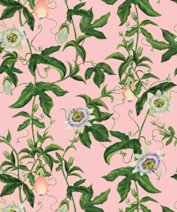 Passion Wallpaper • Wallpaper with Passion Fruit • Peach • Swatch