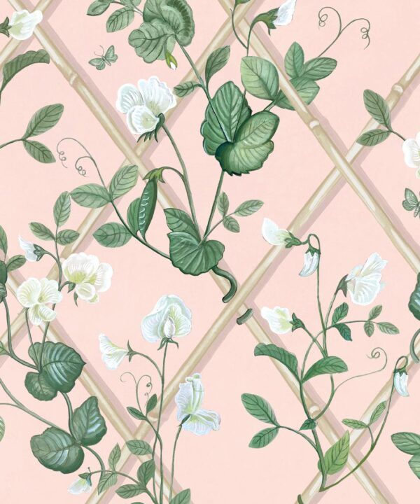 Grande Climbing Sweet Pea Wallpaper • Pink • Insitu