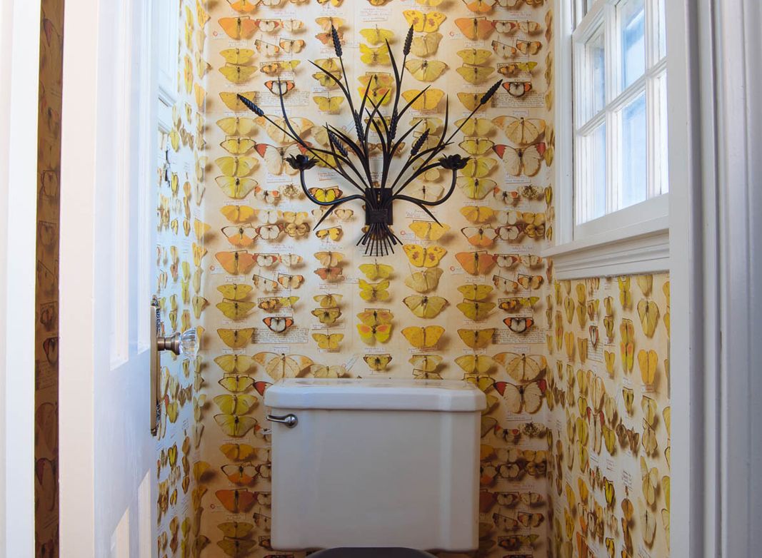 Lepidoptera Wallpaper • Butterfly Wallpaper • Wallpaper in the water closet • Erstwhile Blog Portrait