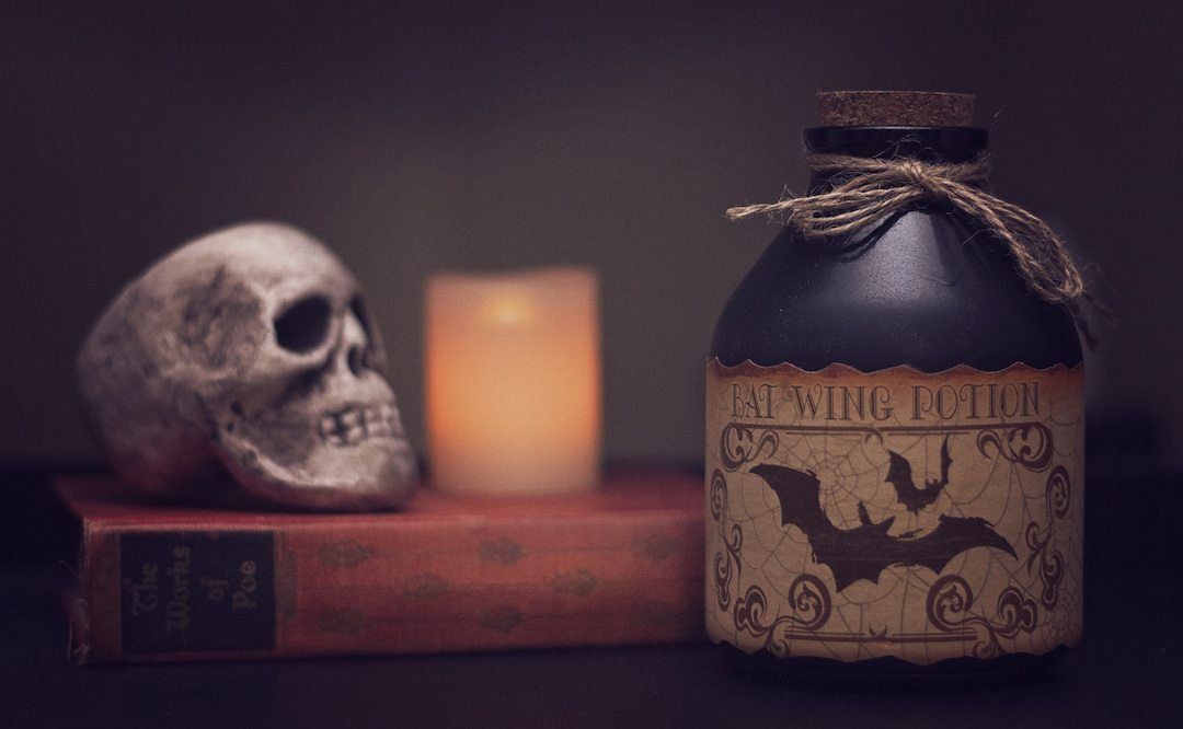 spooky photo of bat wing potion and skull on a book