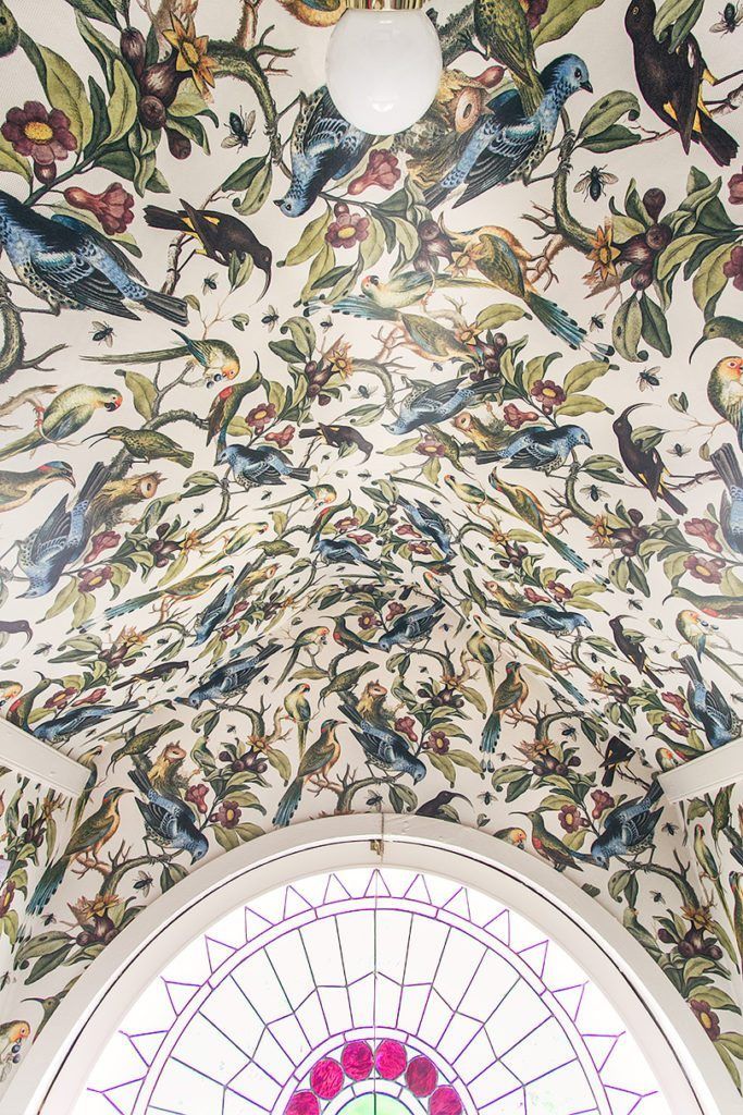 A close up shot of the ceiling of Nicole's closet with Orinthology Wallpaper by Milton & King featuring numerous birds among leaves and branches.