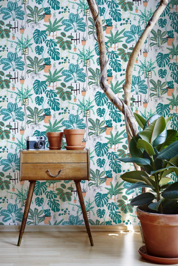 House Plants Wallpaper by Jacqueline Colley featuring luscious green potted plants