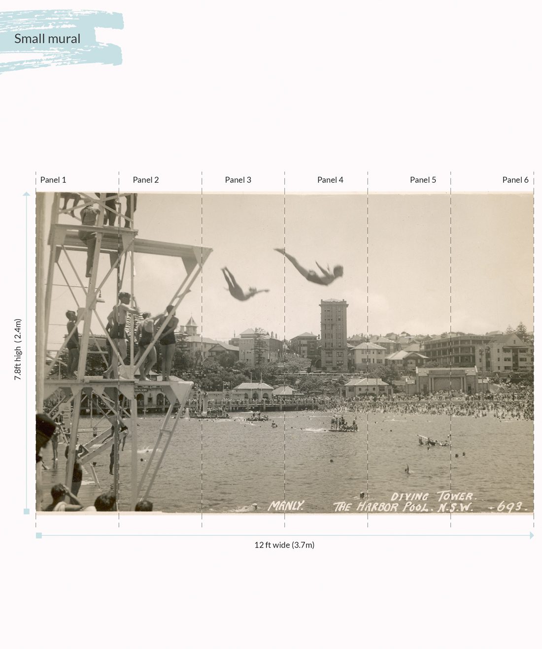Manly High Dive is an Australian wall mural