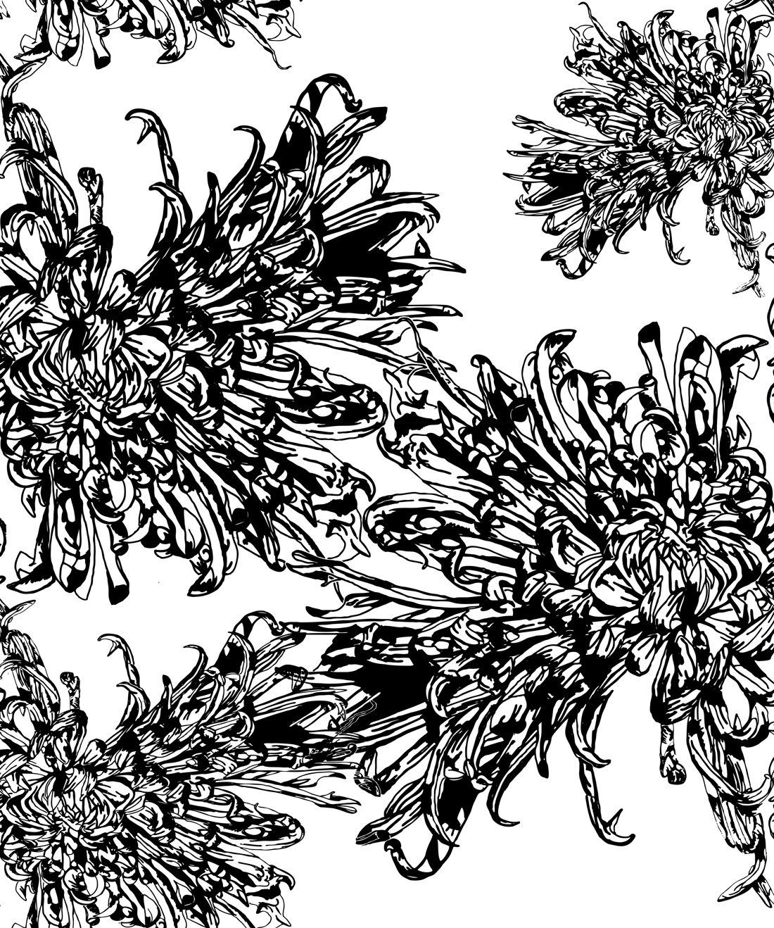 Narnie • Black & White Flower Wallpaper Swatch