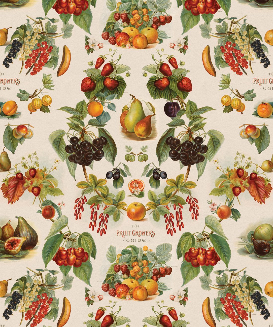 Fruit Growers Guide is a unique kitchen wallpaper