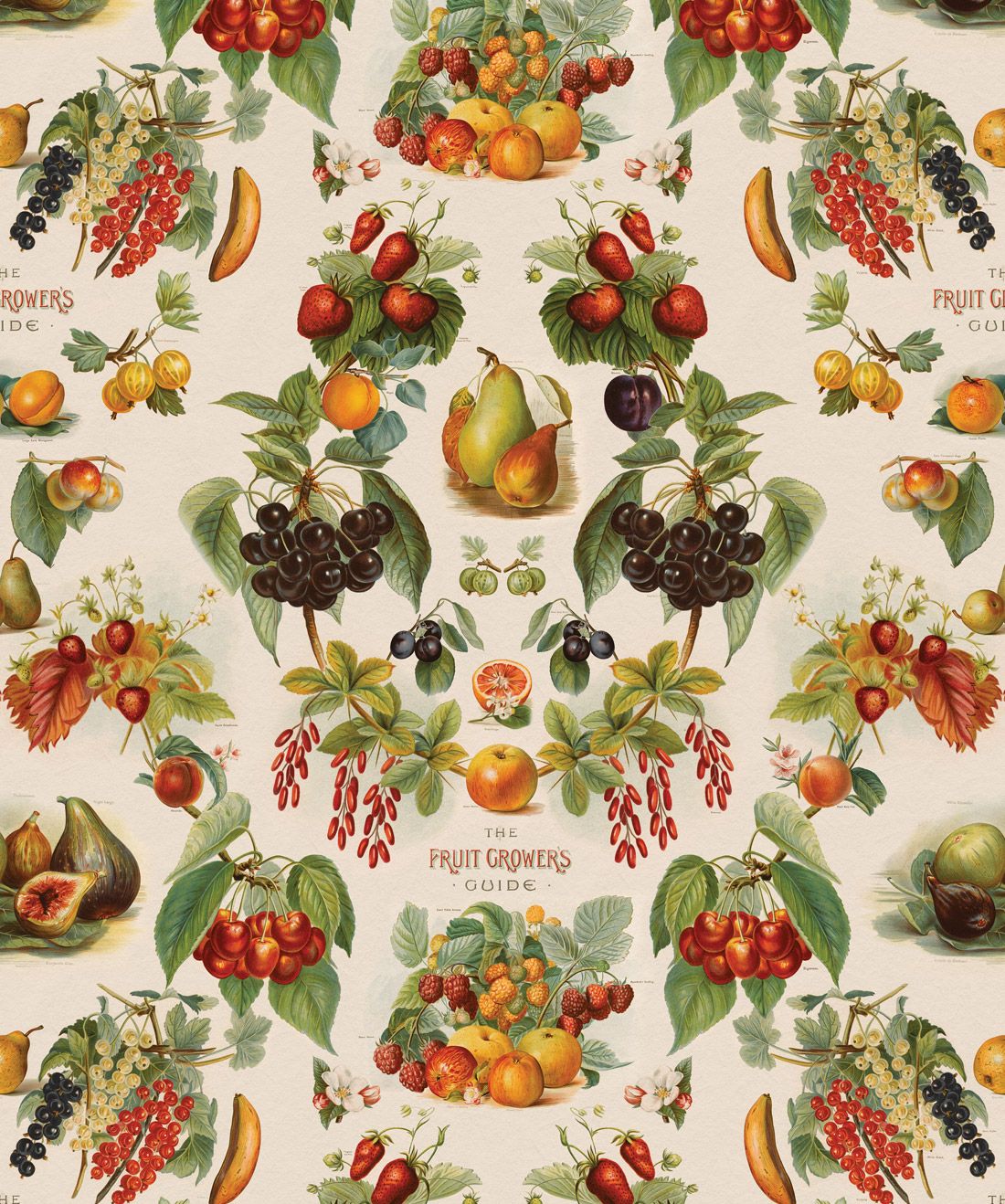 Fruit Growers Guide is a unique kitchen wallpaper