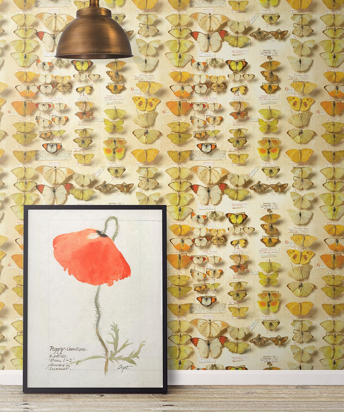 lepidoptera is a vintage butterflies wallpaper