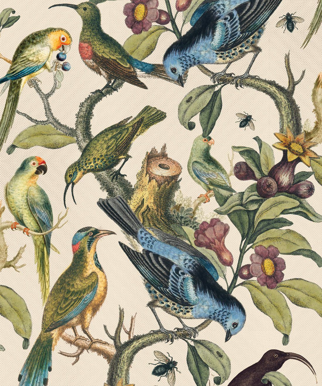 Ornithology is a bird and branch wallpaper