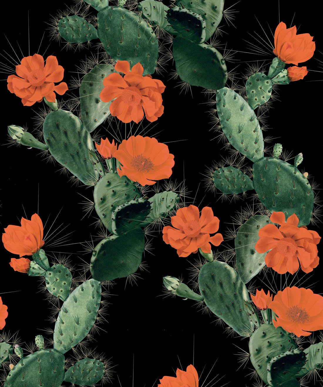 Cactus Wallpaper Red Night