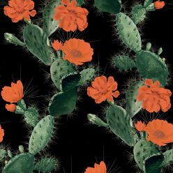 Cactus Wallpaper Red Night