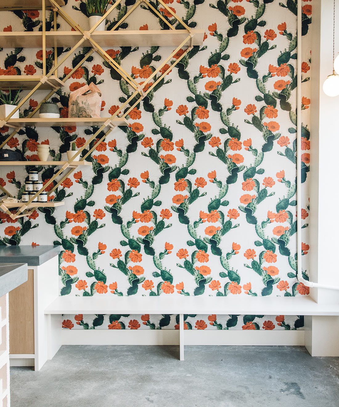 Cactus Wallpaper