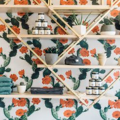 Cactus Wallpaper with a wallshelf