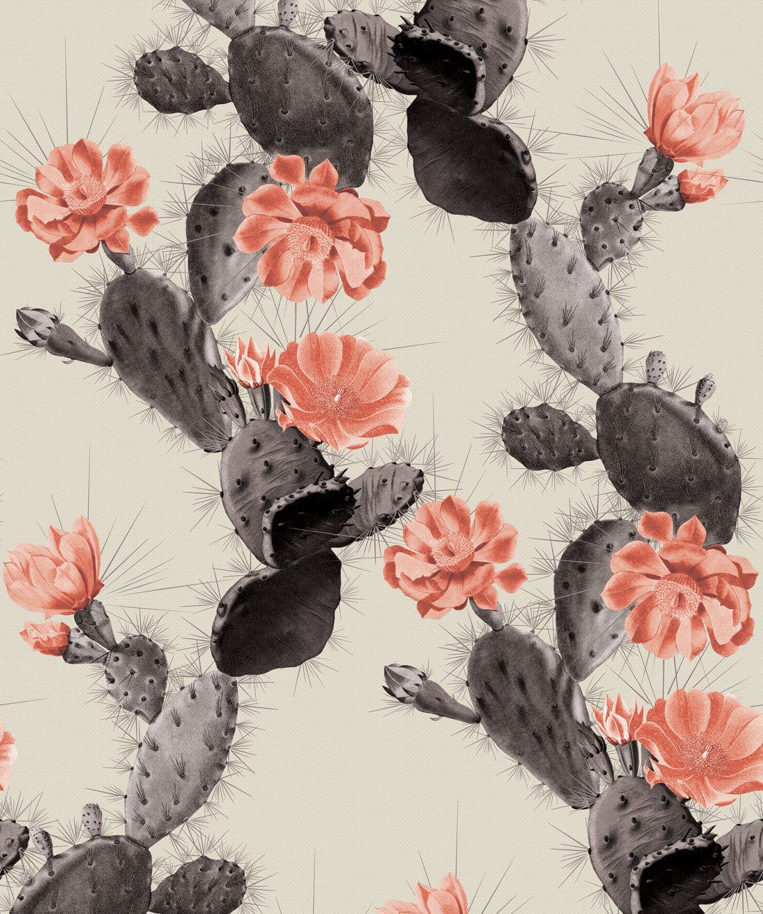 Cactus Wallpaper • Bold Alluring Cacti Design • Milton & King