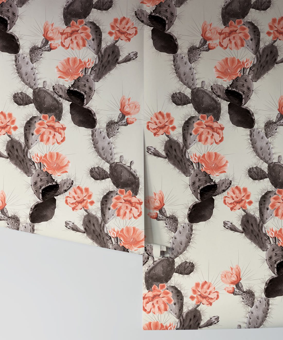 Cactus Wallpaper Twilight Pink