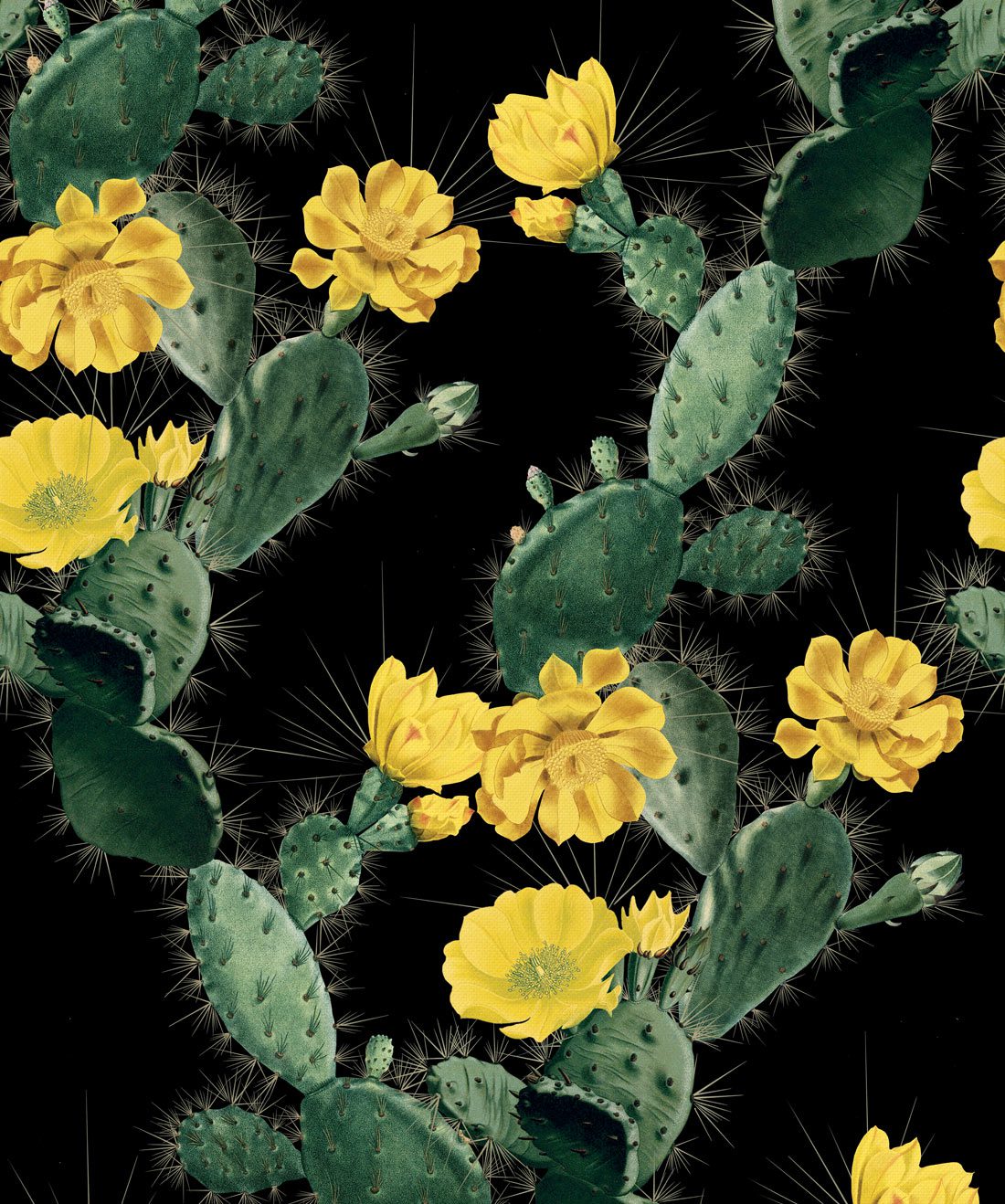 Cactus Wallpaper Yellow Night