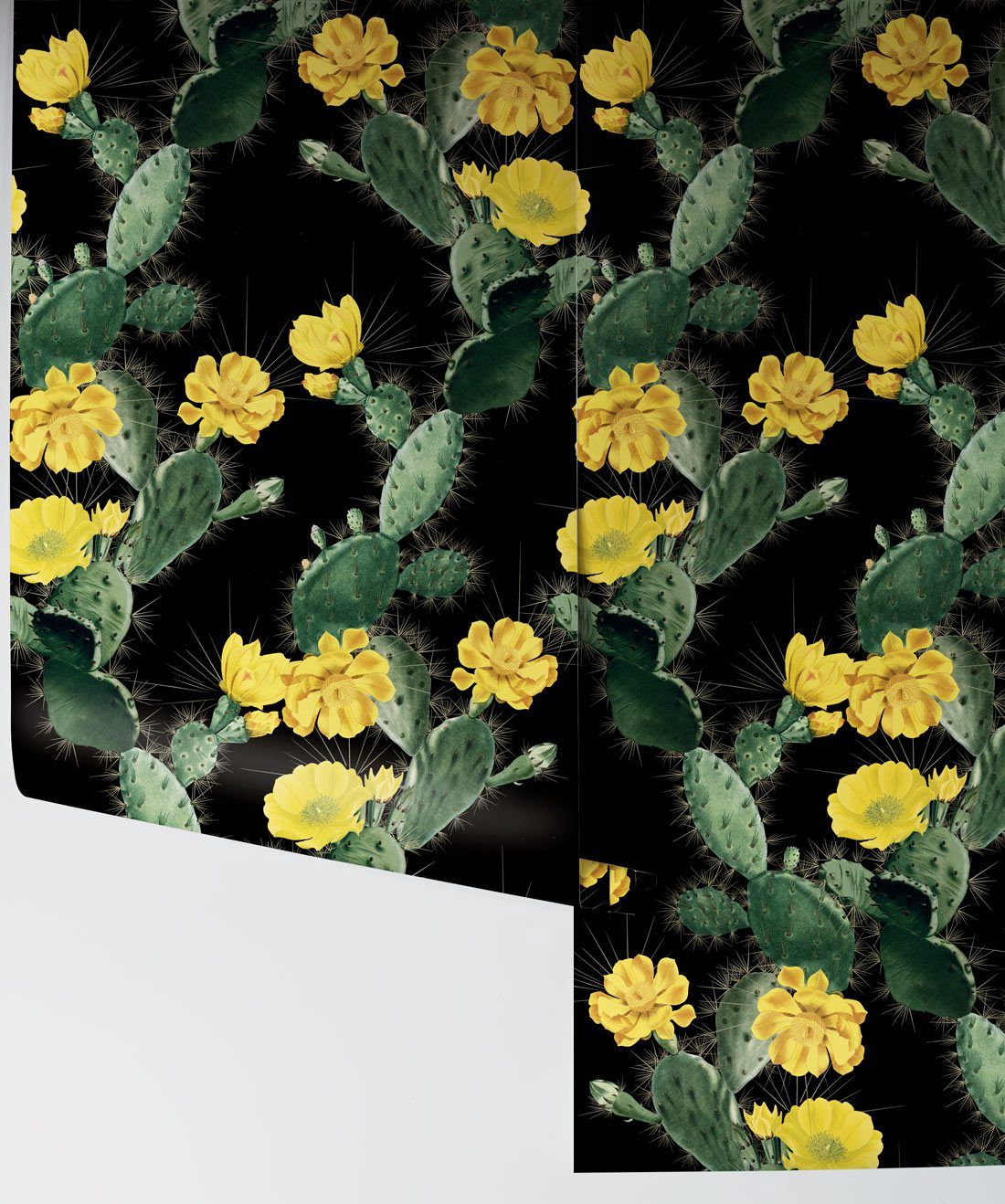 Cactus Wallpaper Yellow Night