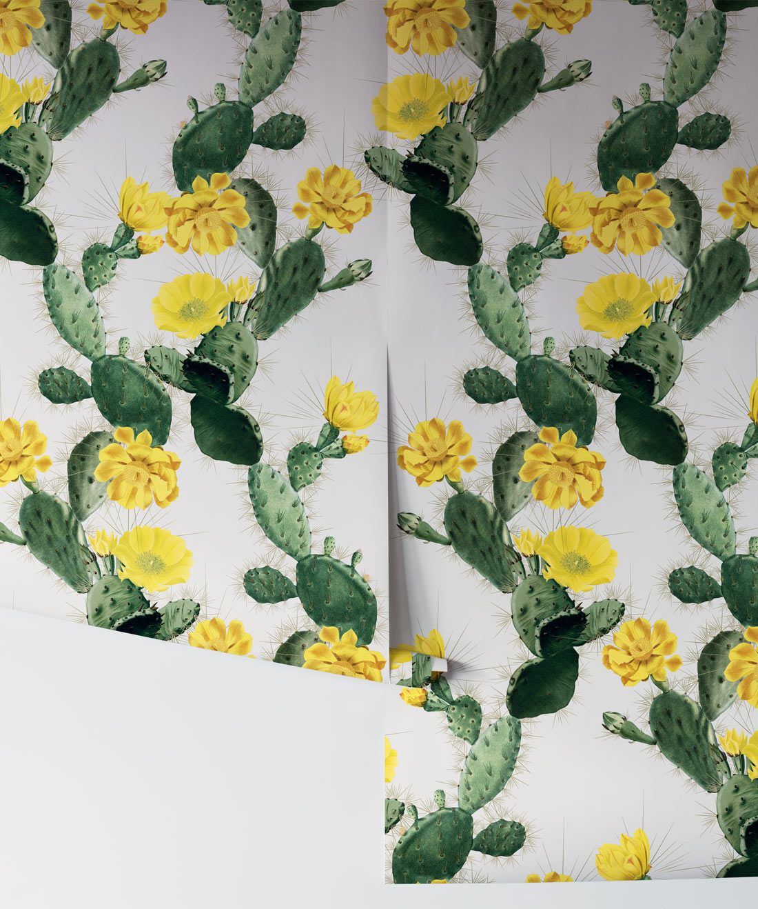 Cactus Wallpaper Yellow Day