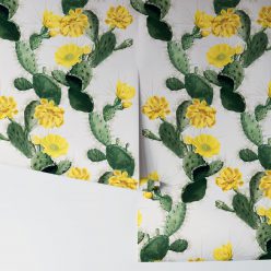 Cactus Wallpaper Yellow Day