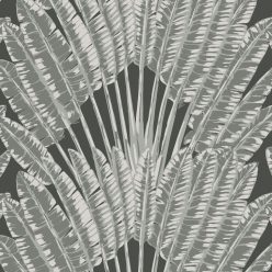 Night Palm