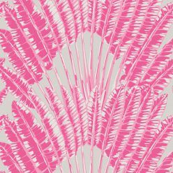 Feather Palm Pink