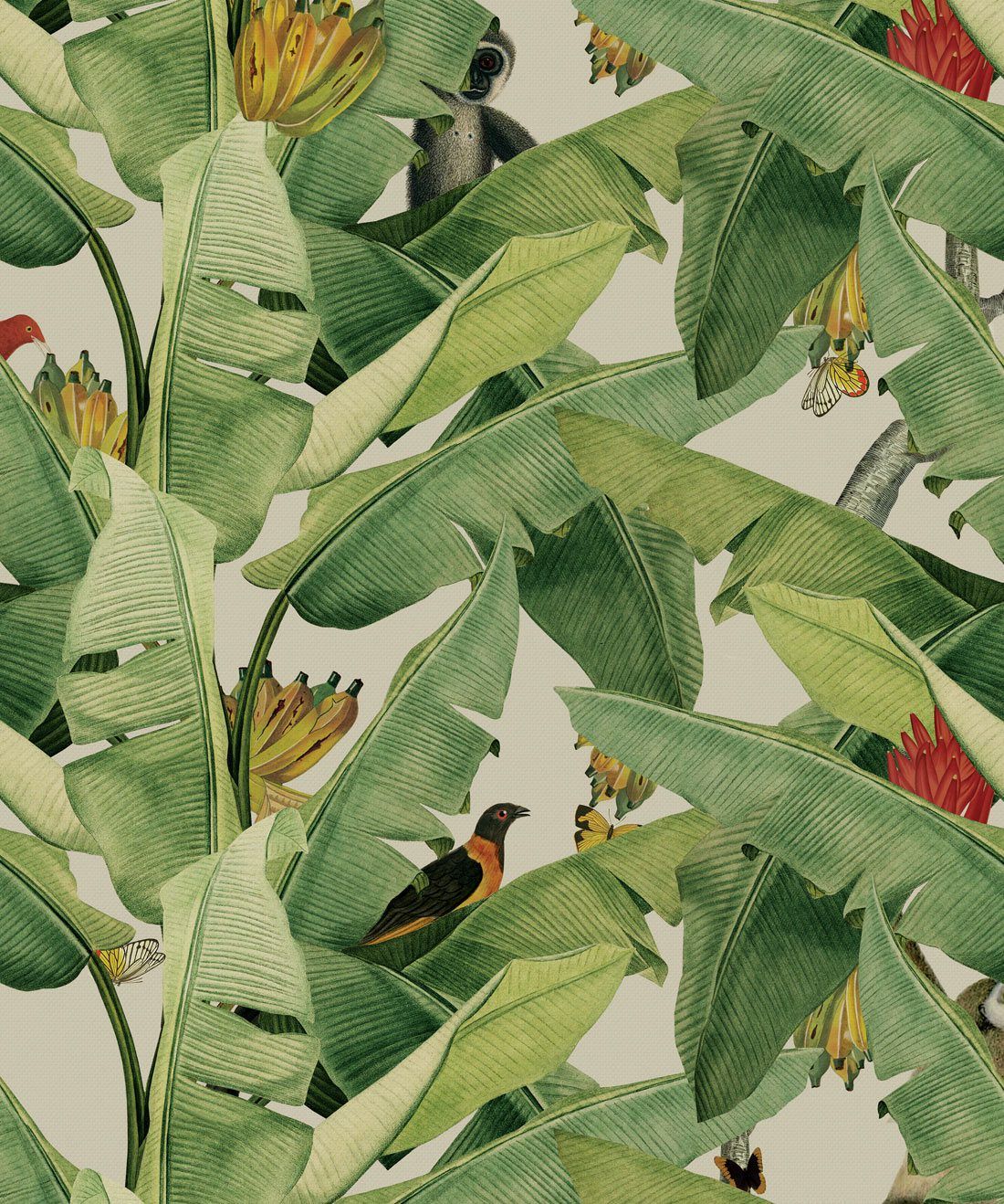 Jungle Fever Wallpaper, featuring a banana leaf motif