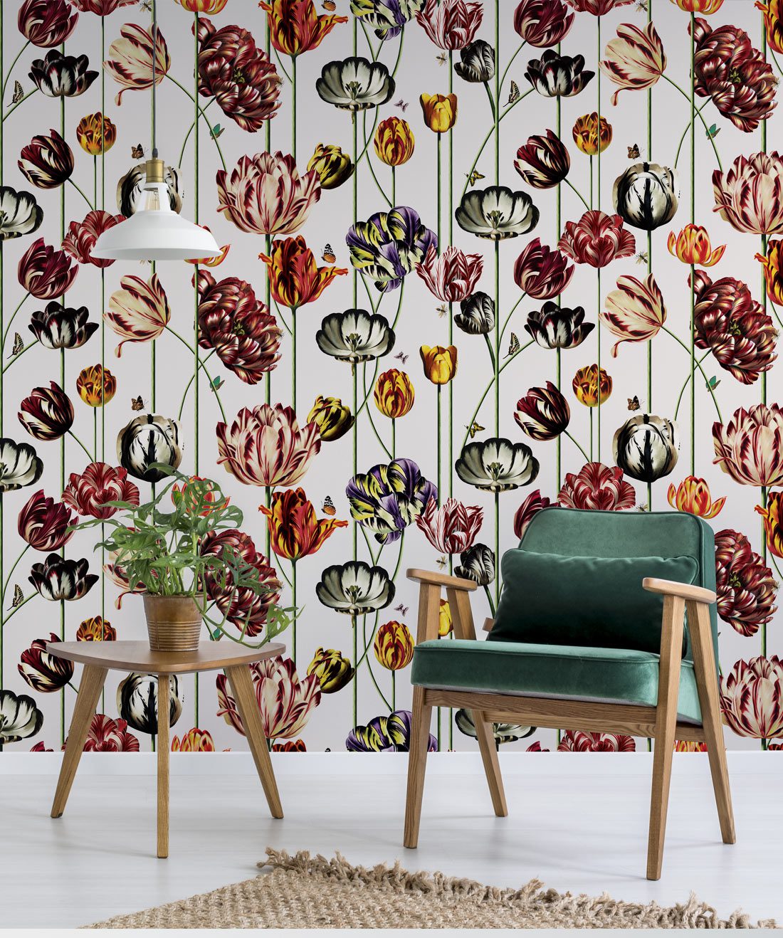 Tulipa Canvas