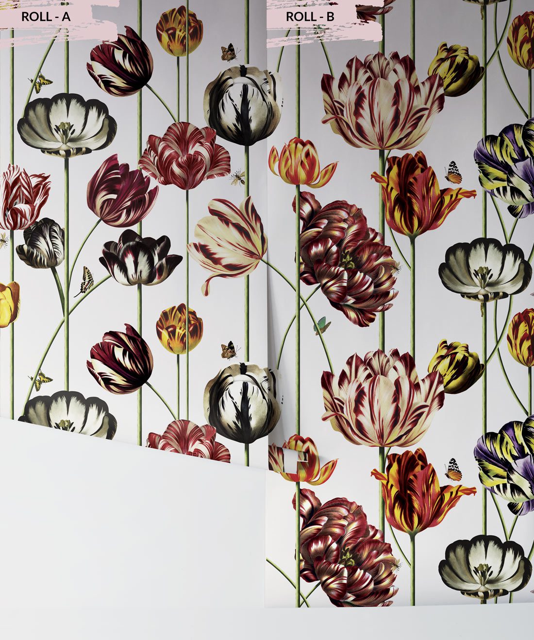 Tulipa Canvas