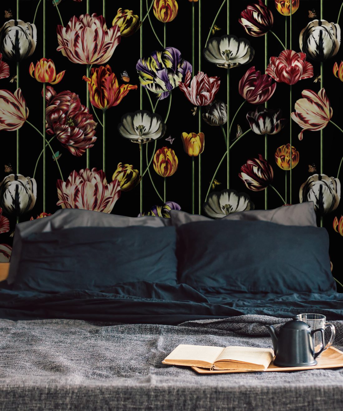 Tulipa Lux