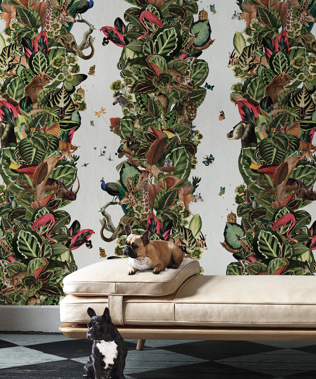Viva Tropicana Canvas