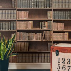 Kemra - Bookshelf