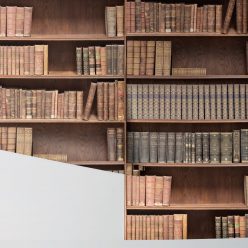 Bookshelf Wallpaper