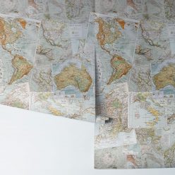 Vintage French Maps