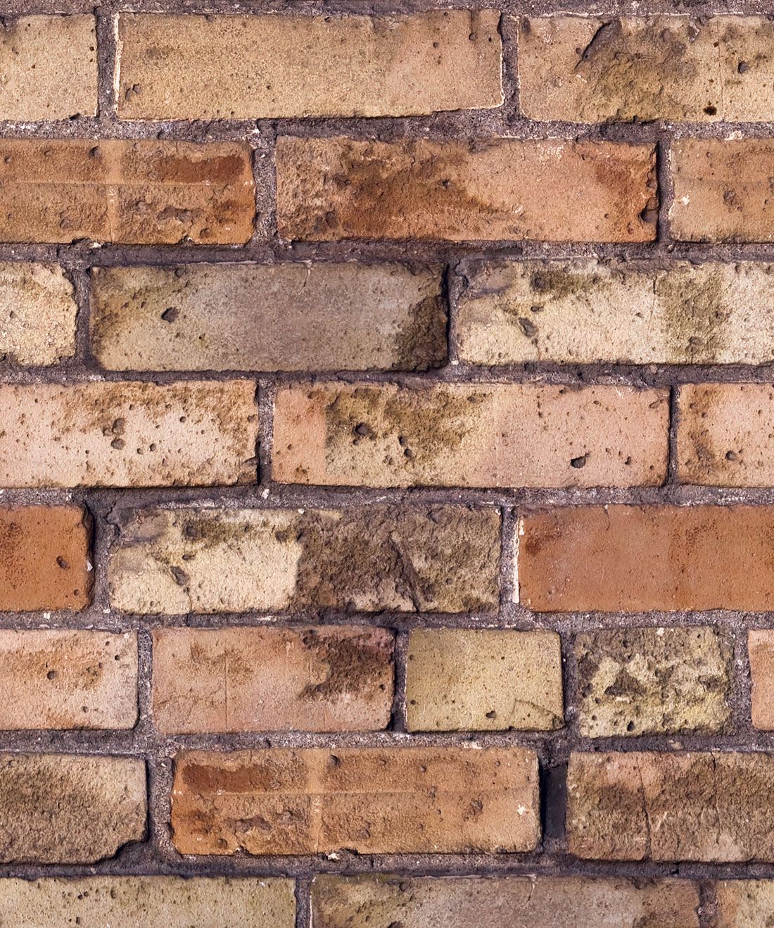 Old Brown Bricks Wallpaper