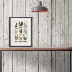 Pally PO is a Wood effect Wallpaper